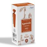 KAPOORAM - SANDAL | Buy 1 Get 1 Free